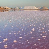 Resale - Villa -
Torre de la Horadada