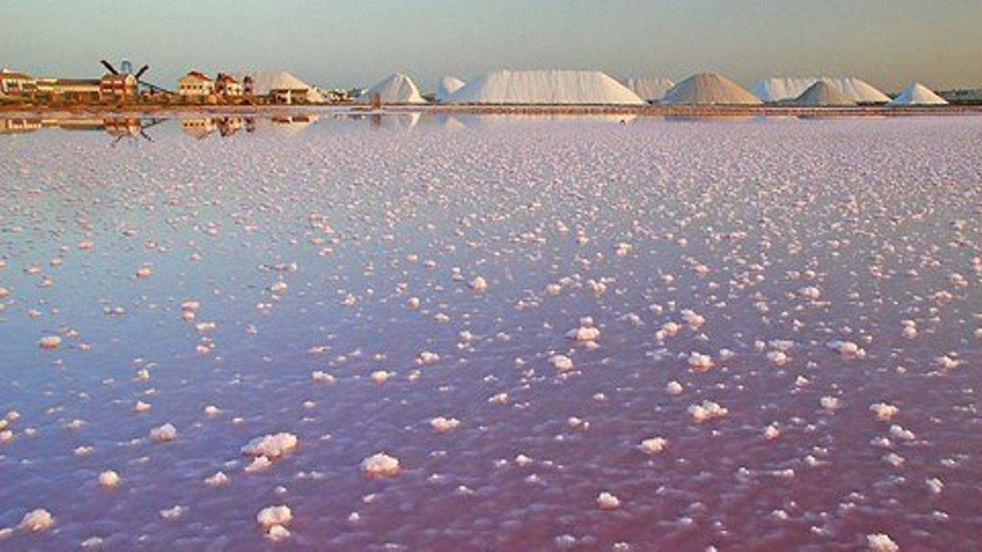 Resale - Villa -
Torre de la Horadada