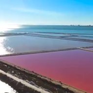 Resale - Villa -
Torre de la Horadada