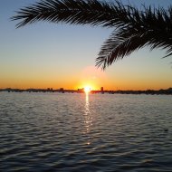 Resale - Villa -
Torre de la Horadada