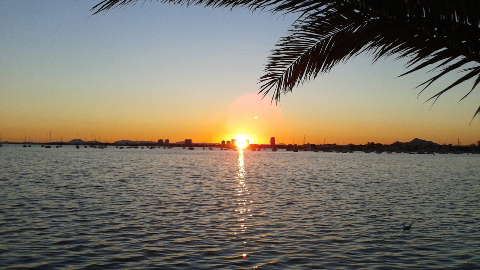 Resale - Villa -
Torre de la Horadada