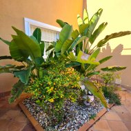 Resale - Villa -
Torrevieja - Cabo Cervera