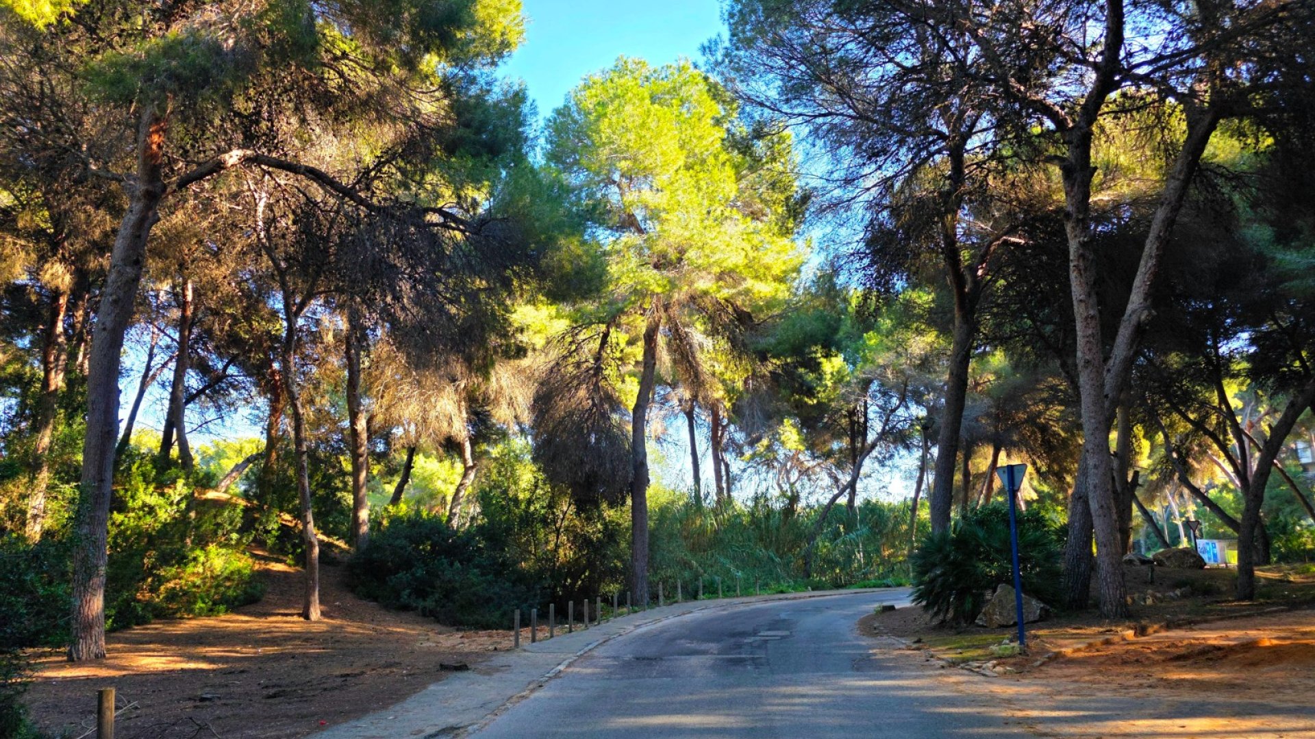 Resale - Villa -
Torrevieja - Cabo Cervera