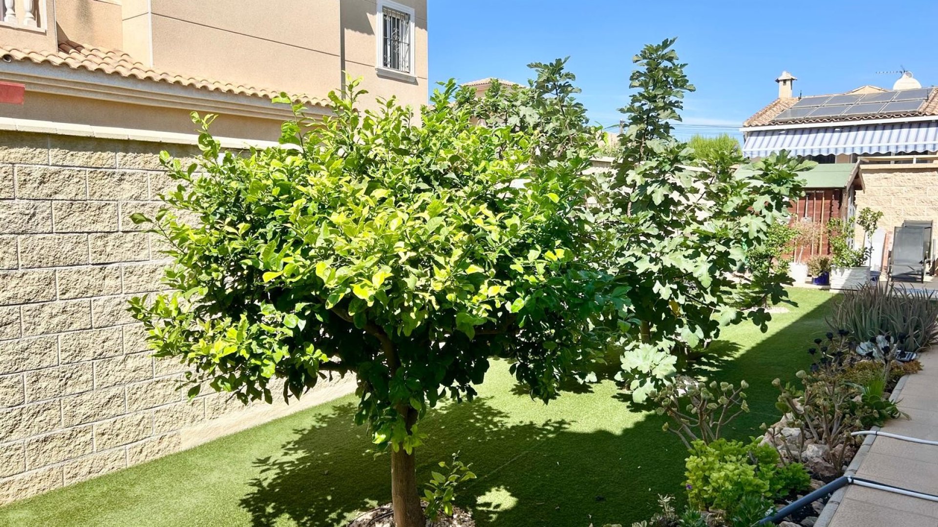 Resale - Villa -
Torrevieja - La Siesta