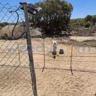 Resale - Villa -
Torrevieja - Los Balcones