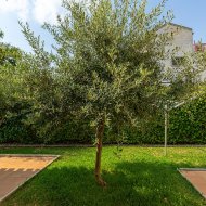 Resale - Villa -
Torrevieja - Playa Los Locos