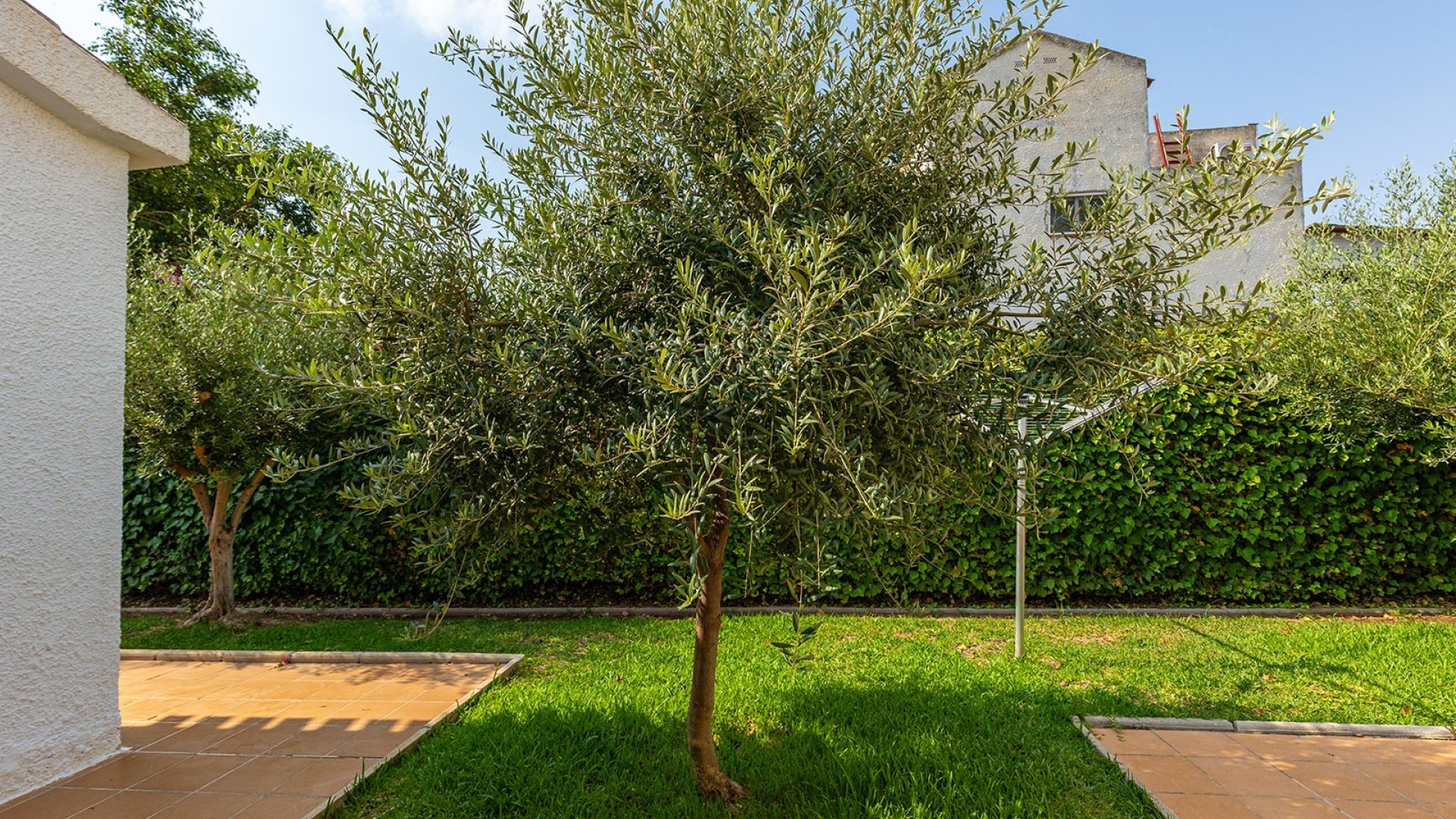 Resale - Villa -
Torrevieja - Playa Los Locos
