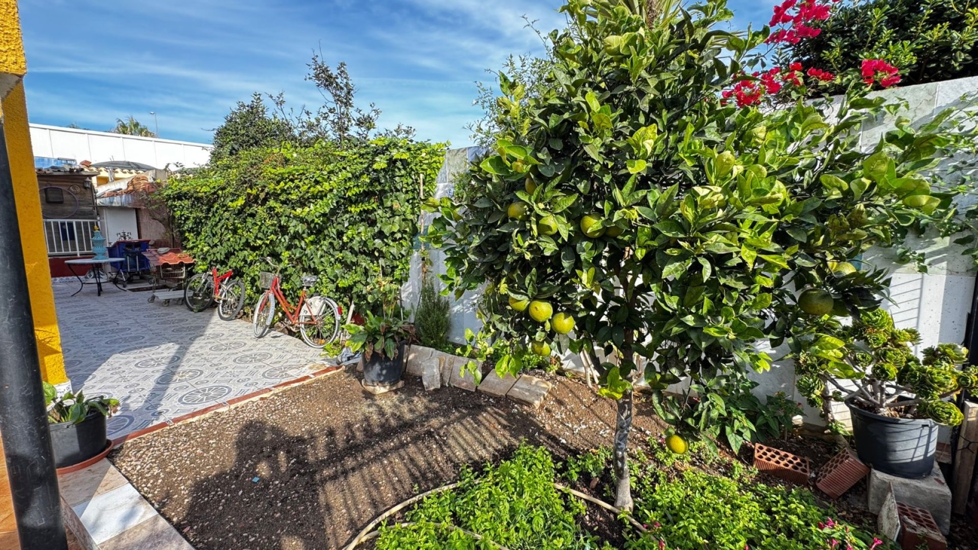 Resale - Villa -
Torrevieja - Punta Prima