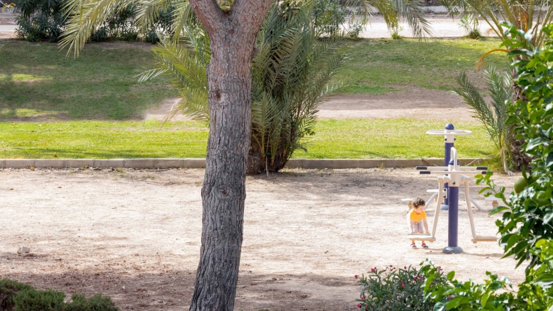 Reventa - Adosado -
Orihuela Costa - La Zenia