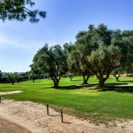 Reventa - Adosado -
Orihuela Costa - Las Filipinas