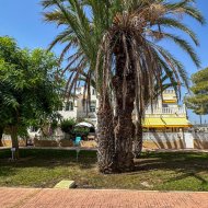 Reventa - Adosado -
San Miguel de Salinas - Bellavista