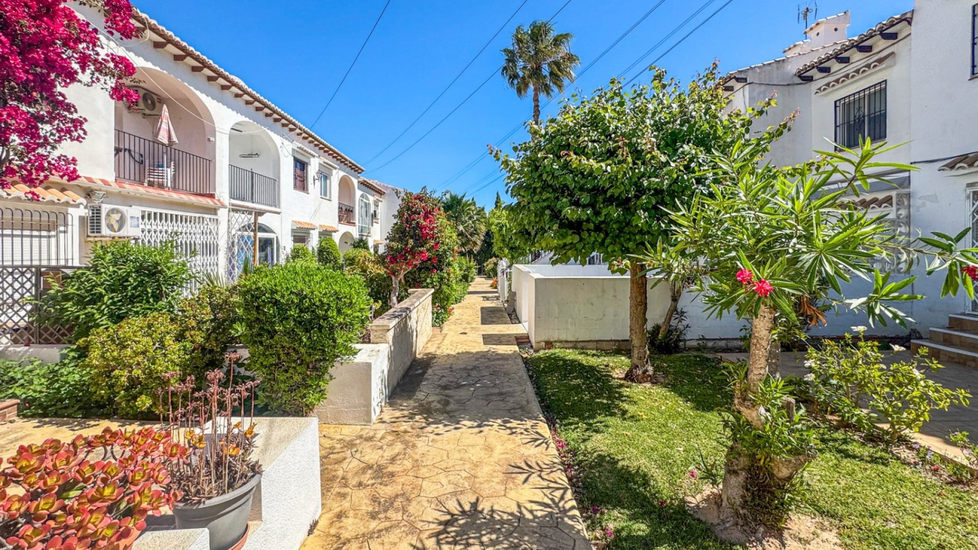 Reventa - Adosado -
Torrevieja - Los Balcones
