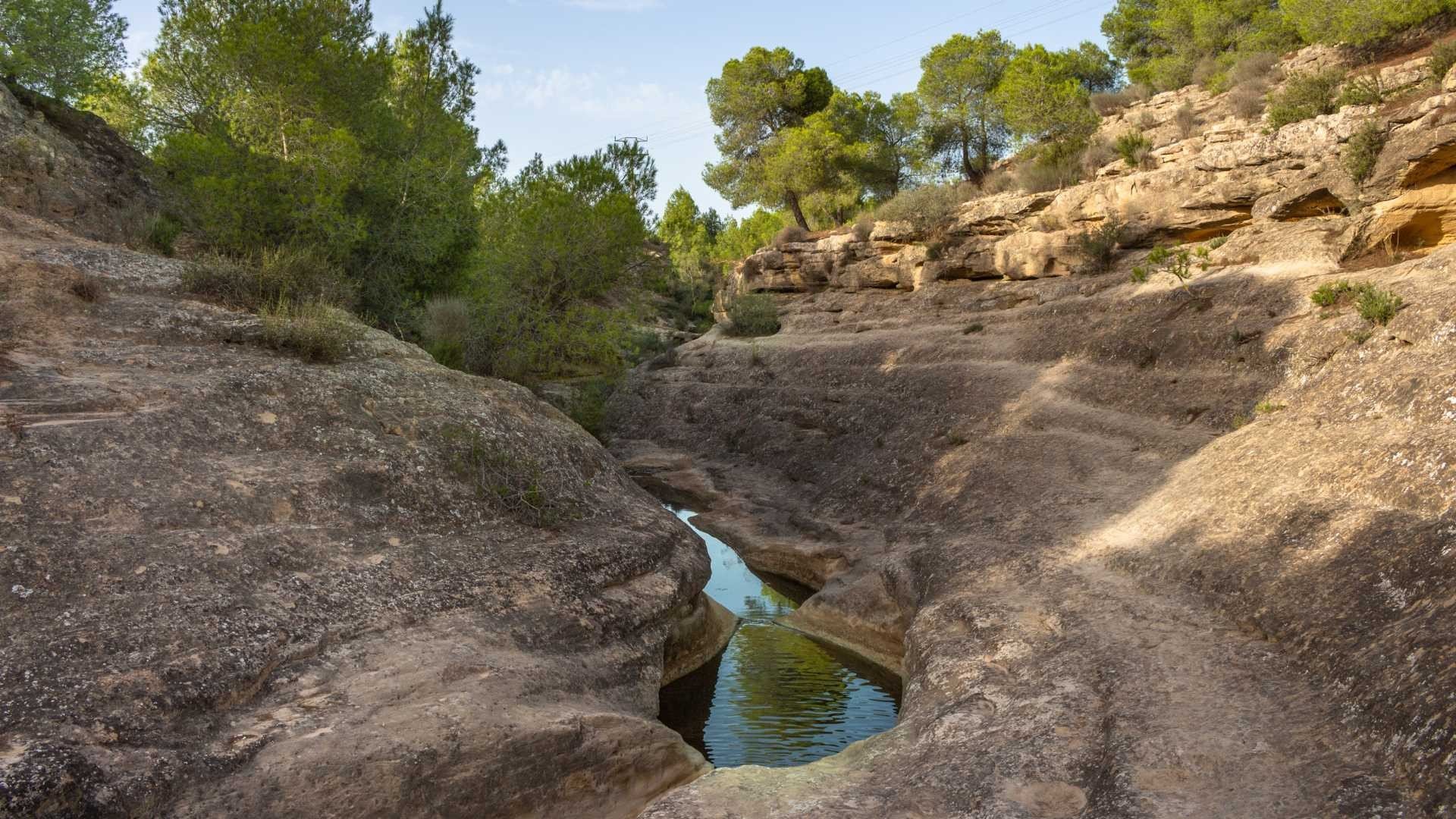 Reventa - Apartamentos -
Algorfa - La finca Golf