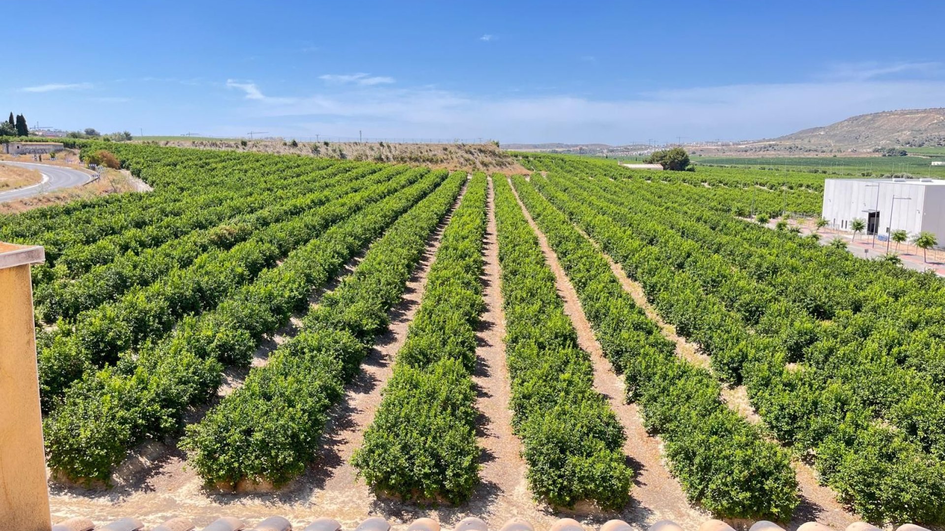 Reventa - Apartamentos -
Algorfa - Pueblo
