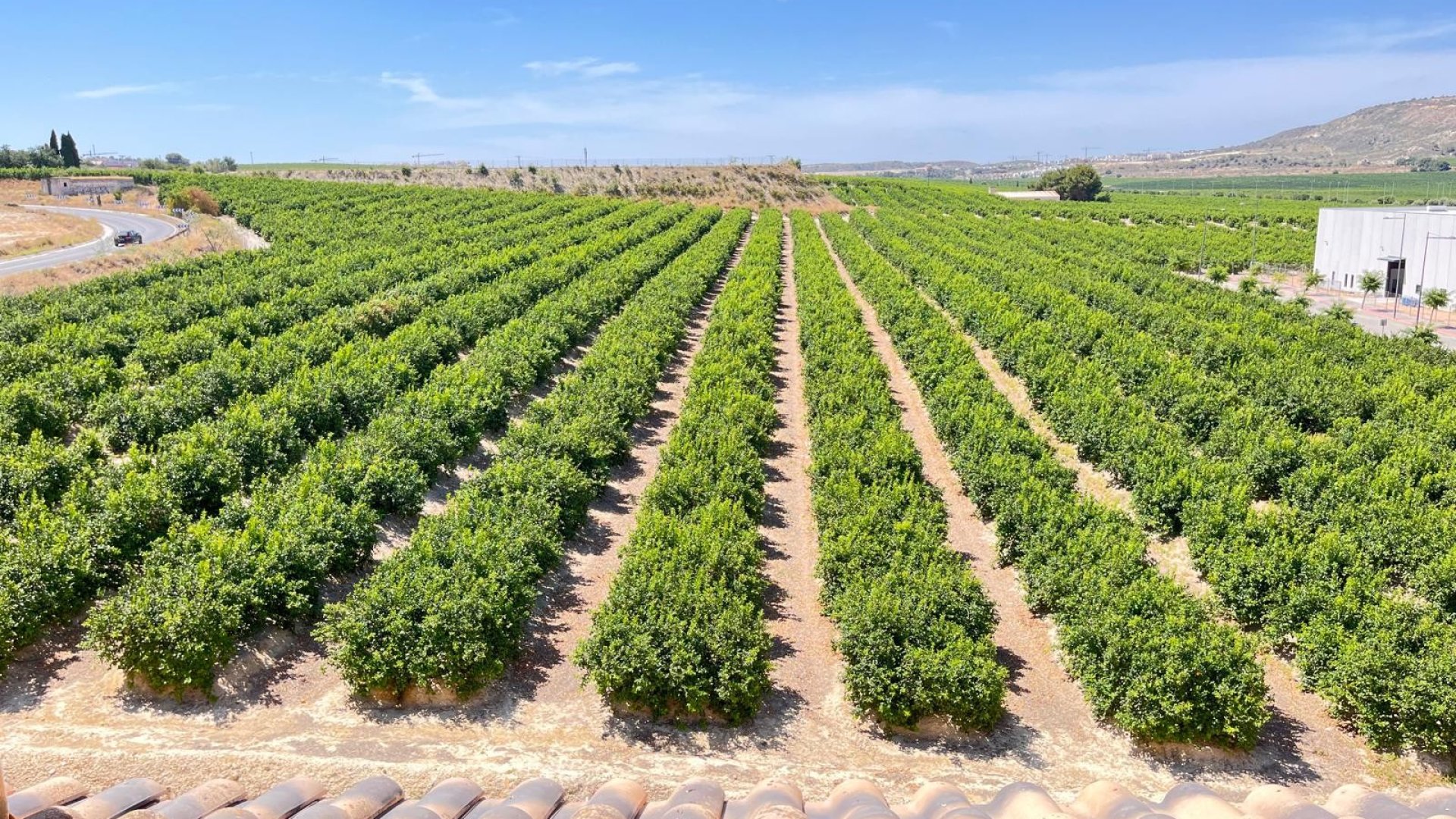 Reventa - Apartamentos -
Algorfa - Pueblo
