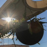 Reventa - Apartamentos -
Alicante - Carolinas Altas