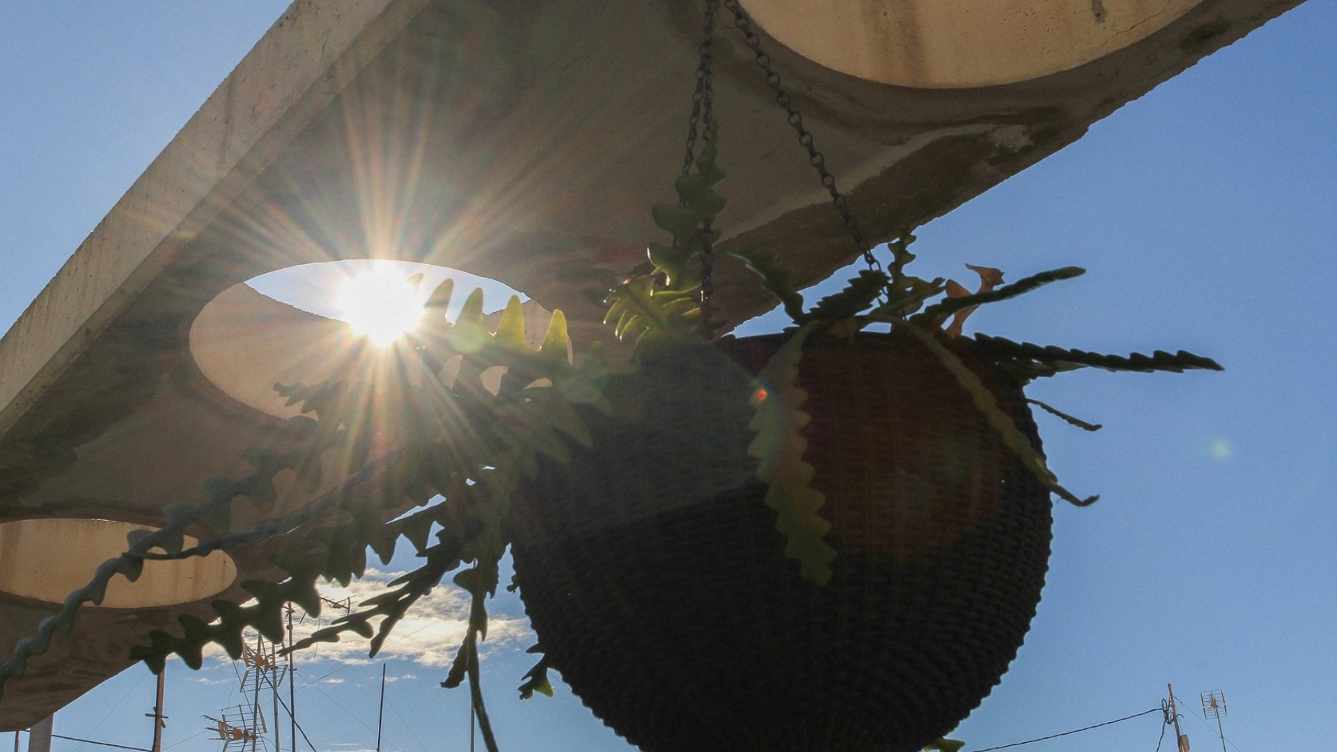 Reventa - Apartamentos -
Alicante - Carolinas Altas