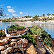Reventa - Apartamentos -
Cabo Roig