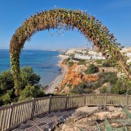 Reventa - Apartamentos -
Cabo Roig