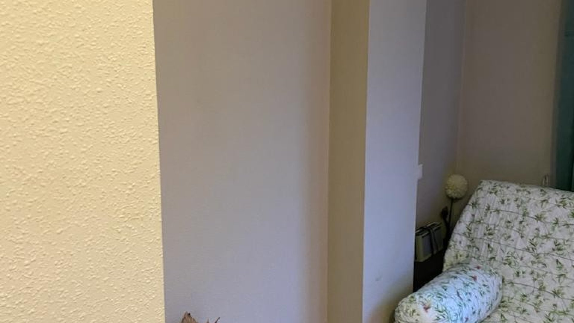 Reventa - Apartamentos -
Ciudad Quesada - Rojales