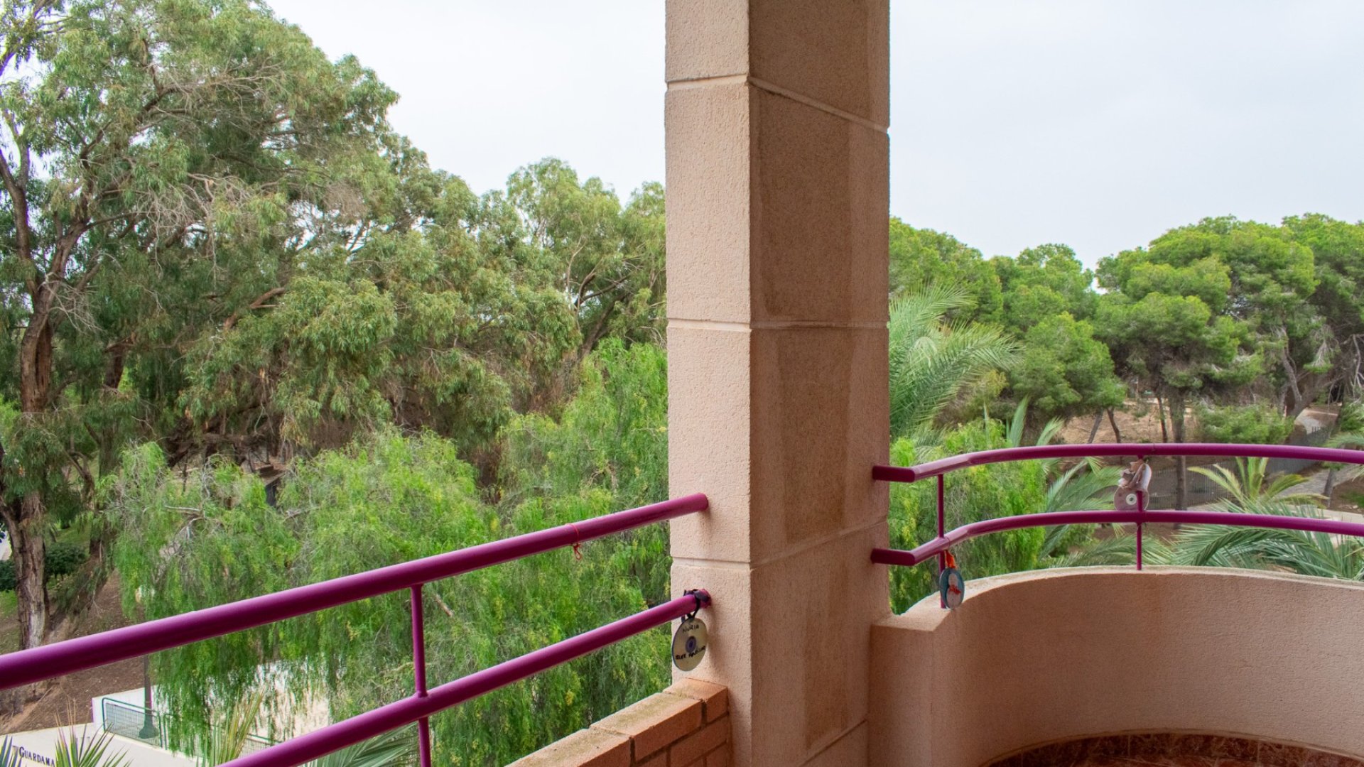 Reventa - Apartamentos -
Guardamar del Segura - Center