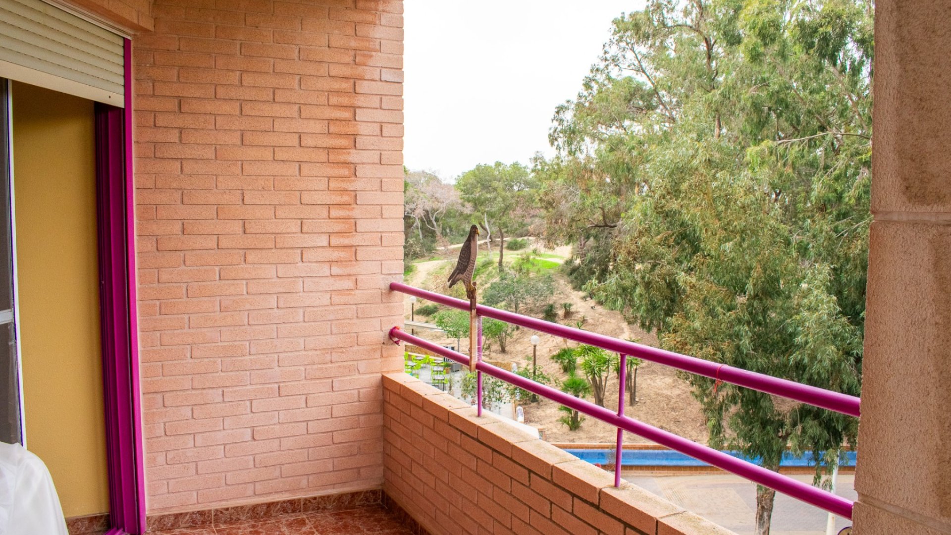 Reventa - Apartamentos -
Guardamar del Segura - Center