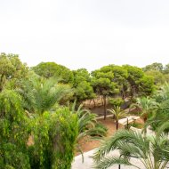 Reventa - Apartamentos -
Guardamar del Segura - Center