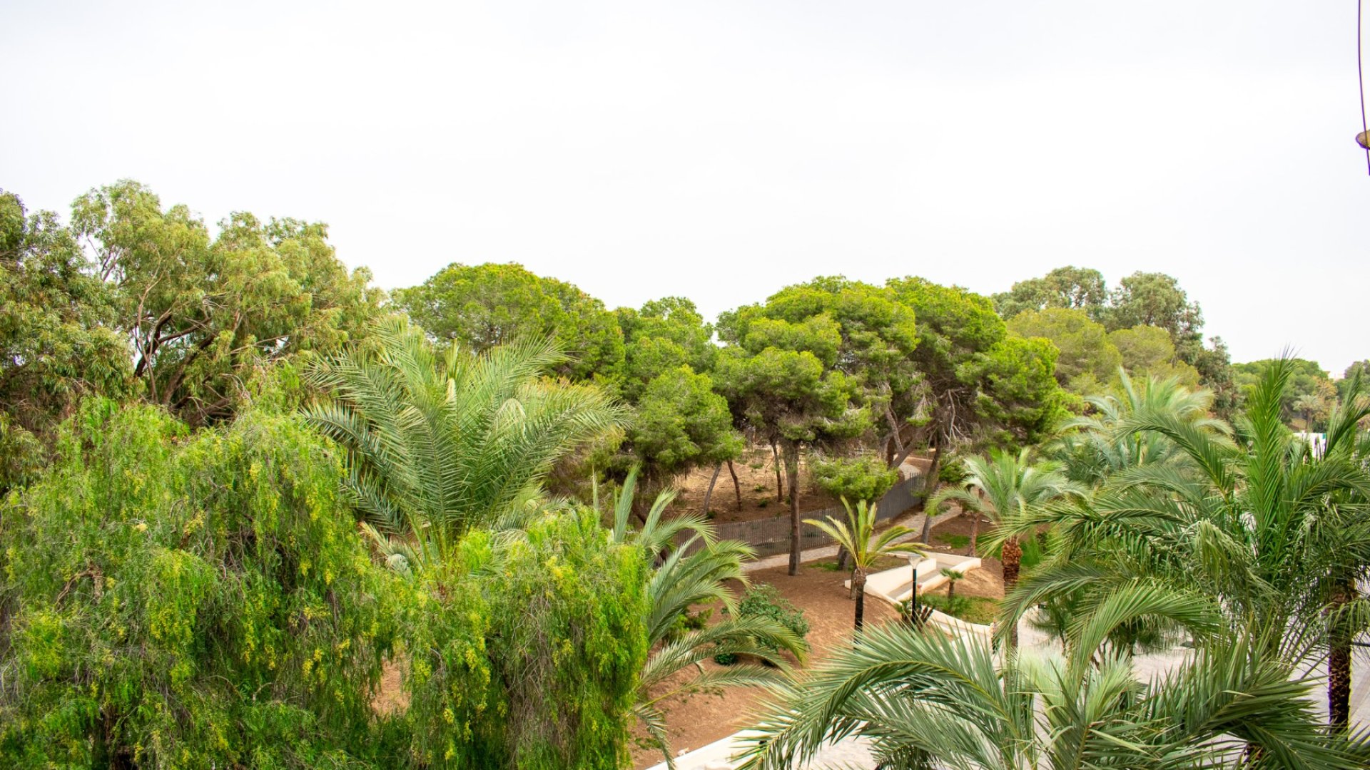 Reventa - Apartamentos -
Guardamar del Segura - Center