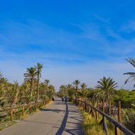 Reventa - Apartamentos -
Guardamar del Segura - El Moncayo