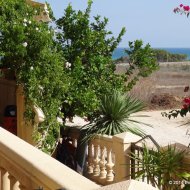 Reventa - Apartamentos -
Guardamar del Segura - El Moncayo