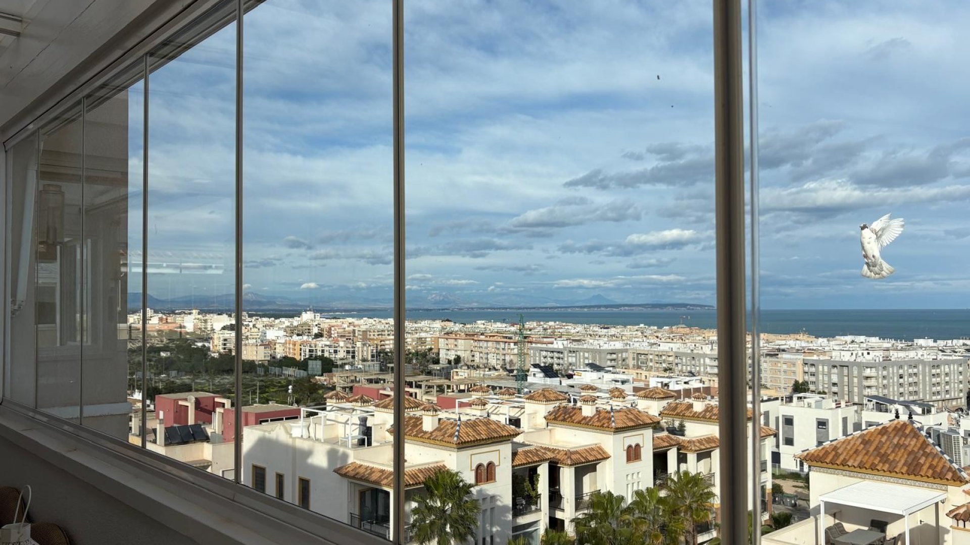 Reventa - Apartamentos -
Guardamar del Segura - Marjal Beach