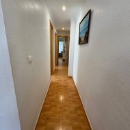 Reventa - Apartamentos -
Guardamar del Segura