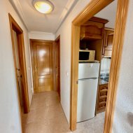 Reventa - Apartamentos -
Guardamar del Segura