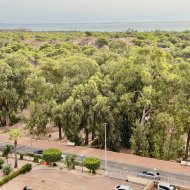 Reventa - Apartamentos -
Guardamar del Segura