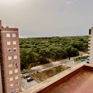 Reventa - Apartamentos -
Guardamar del Segura