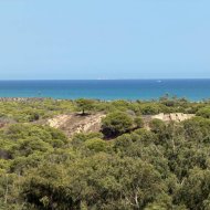 Reventa - Apartamentos -
Guardamar del Segura