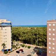 Reventa - Apartamentos -
Guardamar del Segura
