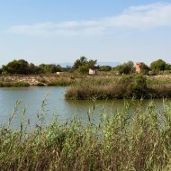 Reventa - Apartamentos -
Guardamar del Segura