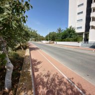 Reventa - Apartamentos -
Guardamar del Segura