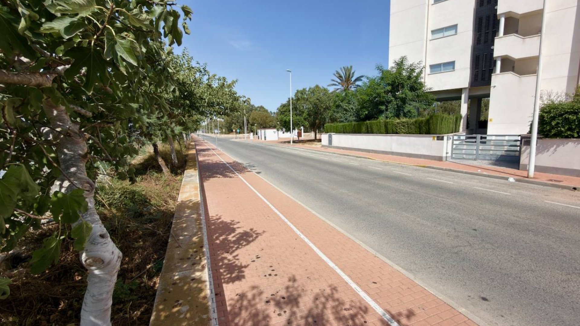 Reventa - Apartamentos -
Guardamar del Segura