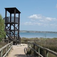 Reventa - Apartamentos -
La Mata - La Mata - Town