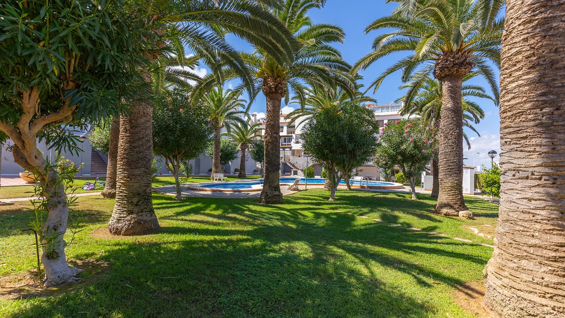Reventa - Apartamentos -
La Mata
