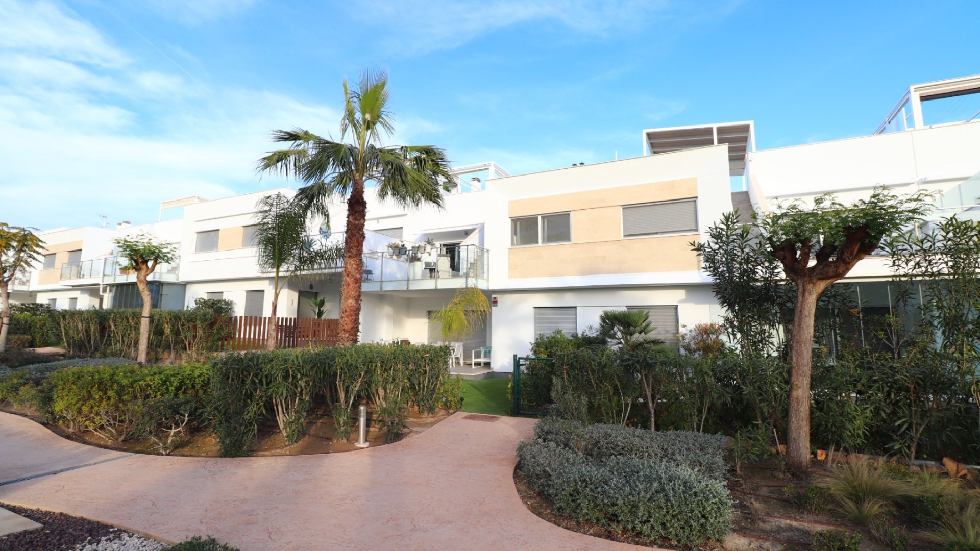 Reventa - Apartamentos -
Los Montesinos - Entre Naranjos