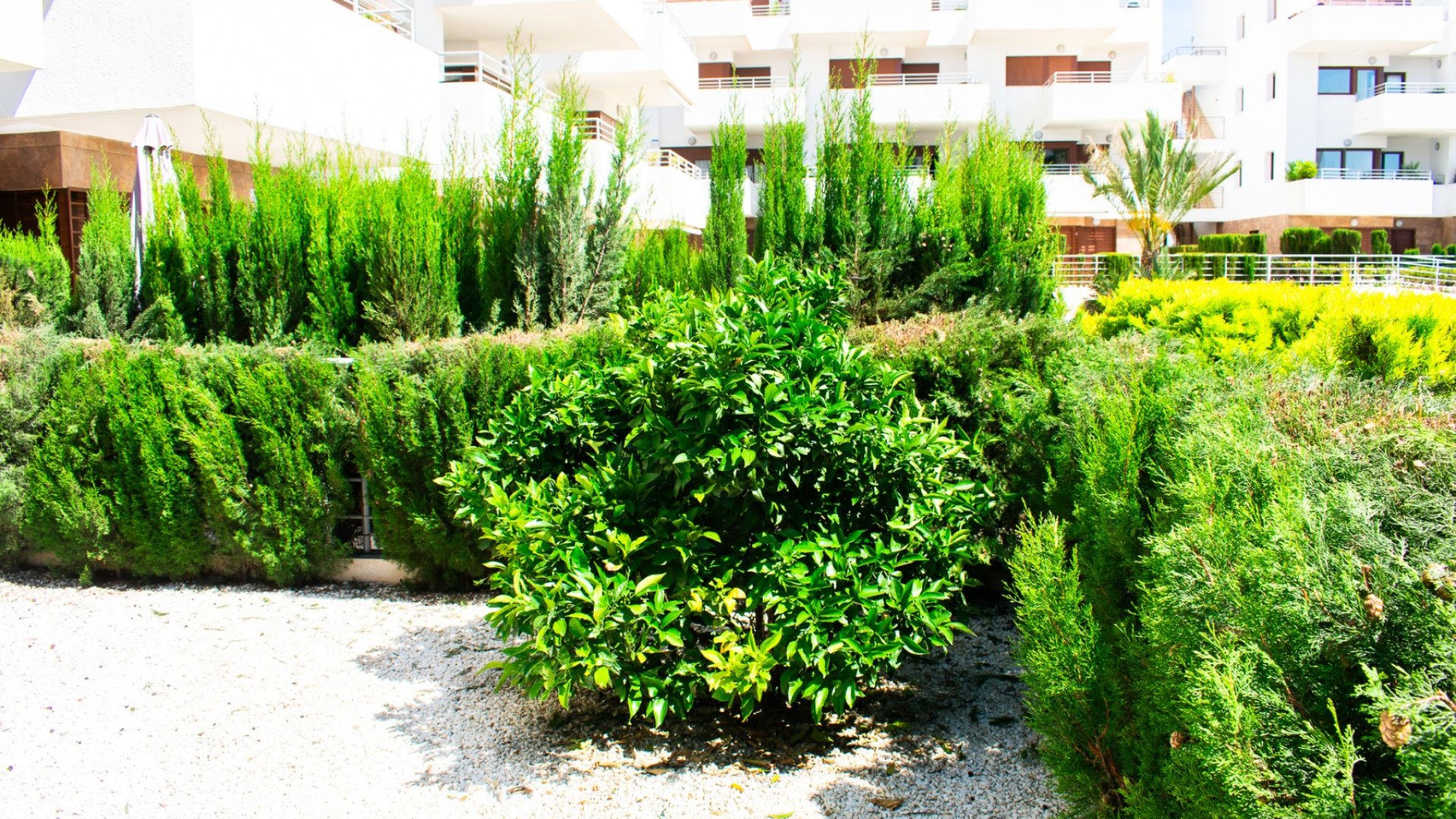 Reventa - Apartamentos -
Orihuela Costa - Cabo Roig