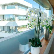 Reventa - Apartamentos -
Orihuela Costa - Las Colinas golf