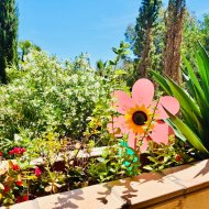 Reventa - Apartamentos -
Orihuela Costa - Lomas de Campoamor