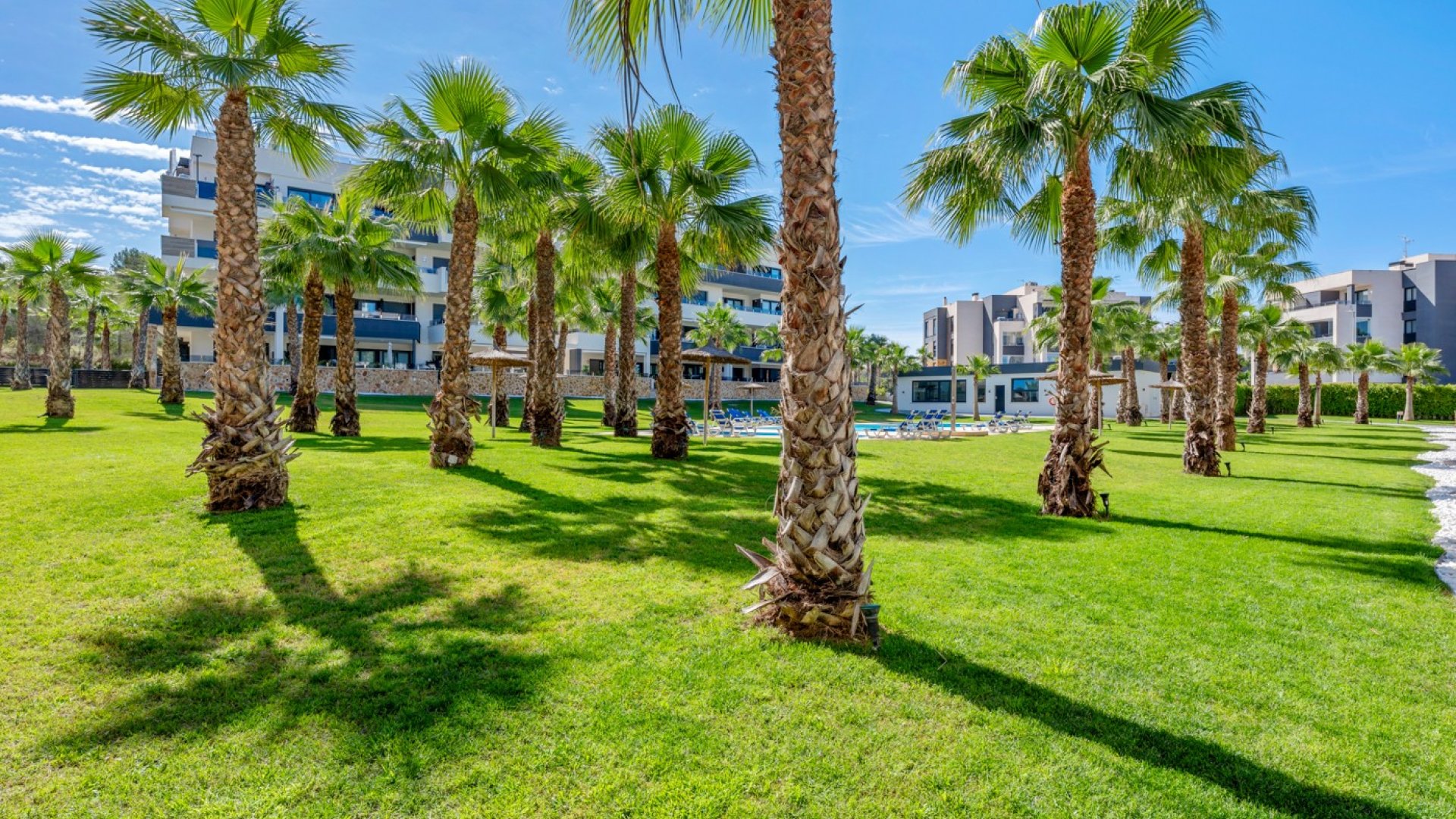Reventa - Apartamentos -
Orihuela Costa - Los Altos