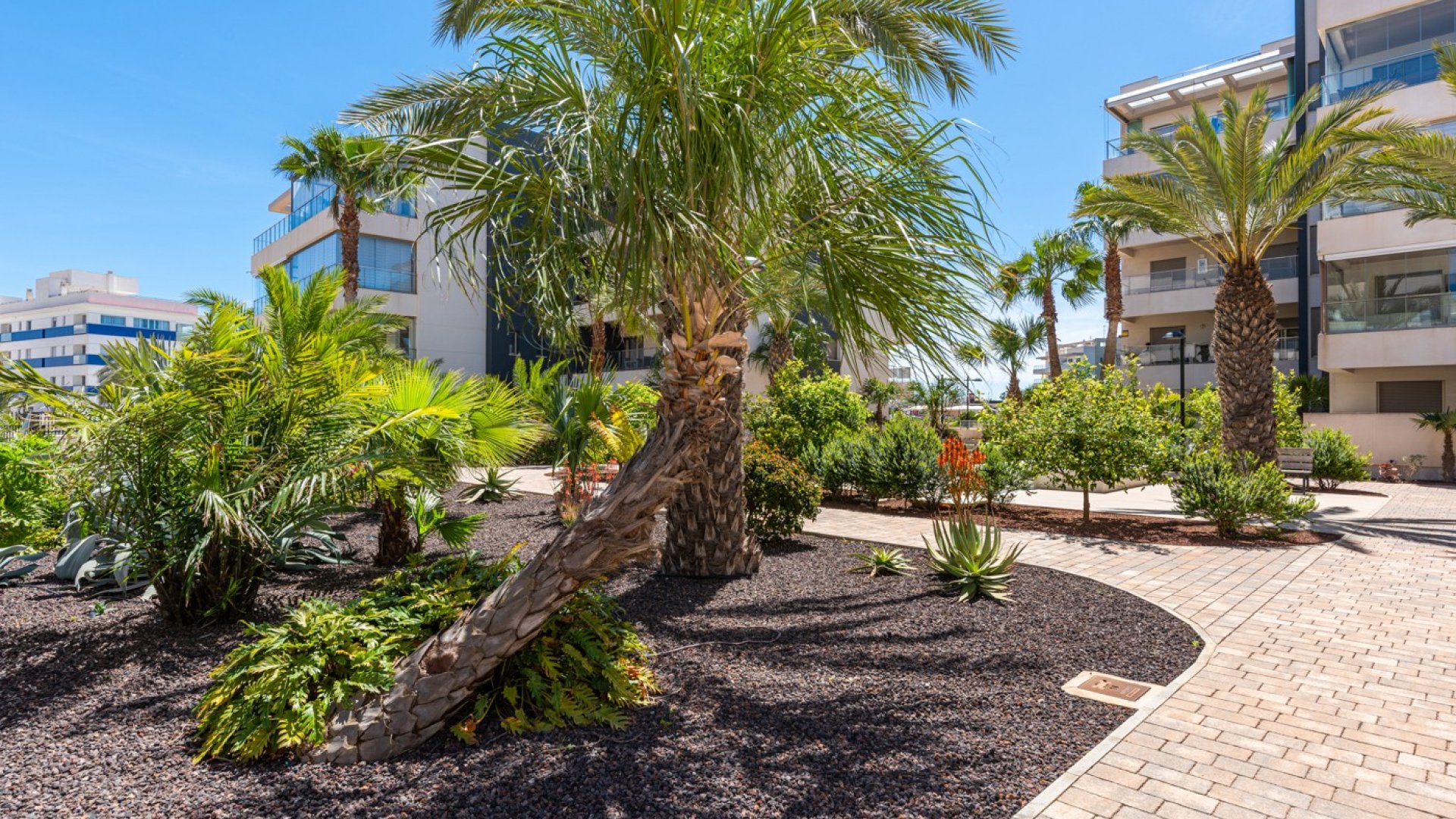 Reventa - Apartamentos -
Orihuela Costa - Los Dolses