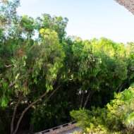 Reventa - Apartamentos -
Orihuela Costa - Playa Flamenca Norte