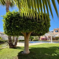 Reventa - Apartamentos -
Orihuela Costa - Playa Flamenca
